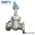 900LB High Pressure Gate Valve with Flange End