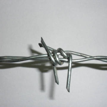 barbed wire in sri lanka