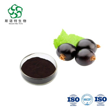 Black currant extract 25% Anthocyanins UV