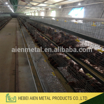 cold galvanized chicks cage for poultry farming use