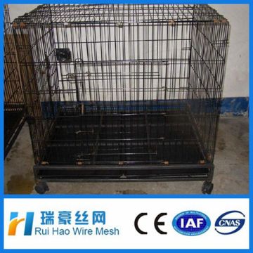 Low price Welded wire mesh dog cage