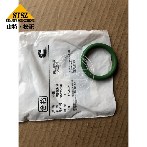 4VBE34RW3 Ersatzteile O Ring Seal 3892095