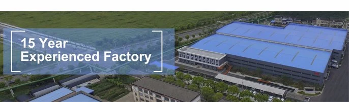 China Manufacturer Sanitary Carbonated Beverages Manufacturing Process Plant