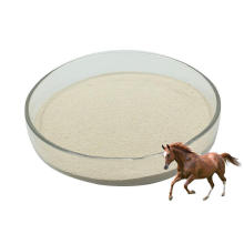 ALLICIN POWDER 25% FOR ANIMAL FEED