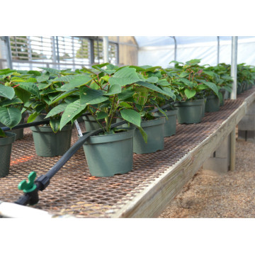 Greenhouse Drip Tape-Irrigation for Agriculture