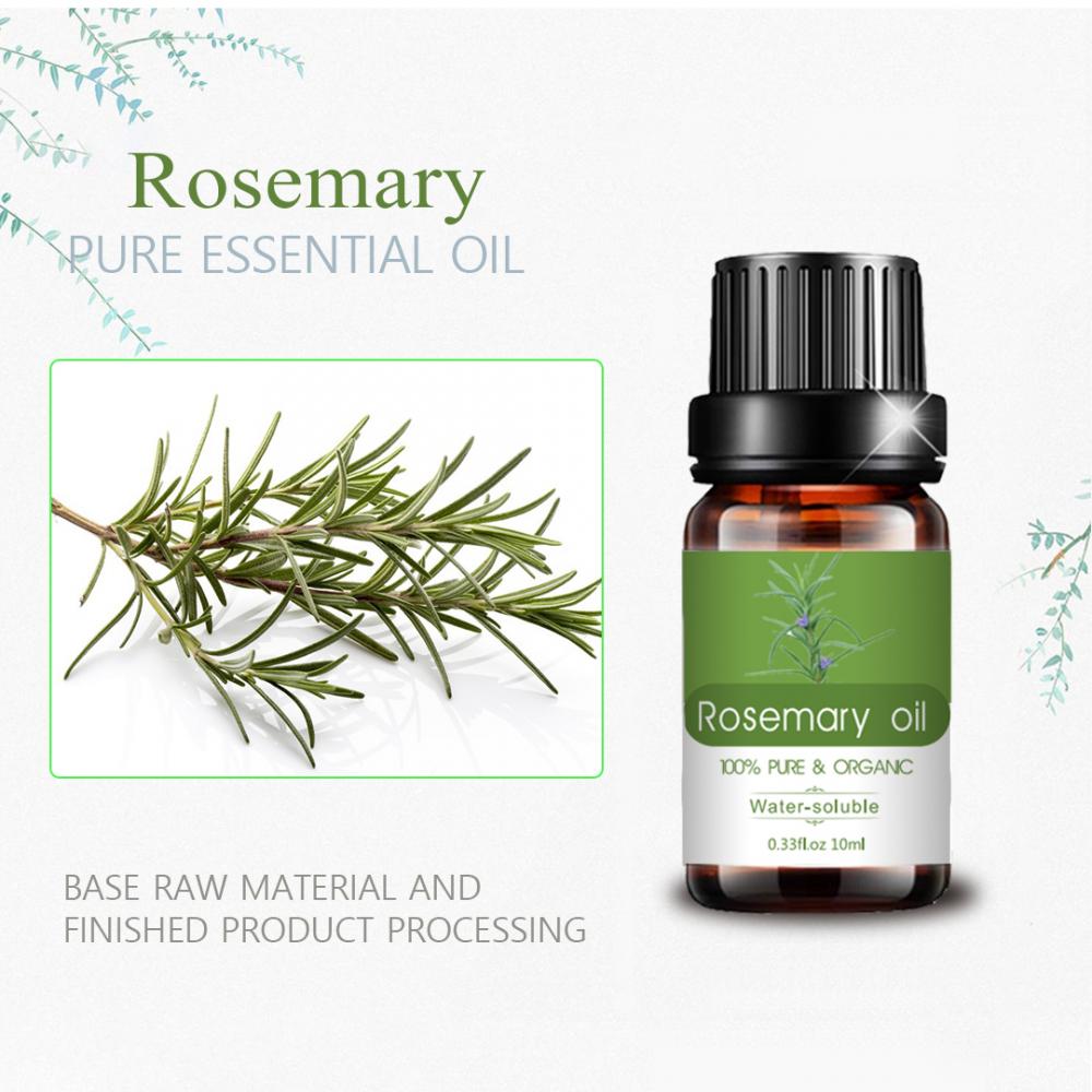 Penjualan panas 10ml Minyak esensial rosemary tanaman alami murni