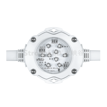 RGBW Pencahayaan Fasad Beralamat LED Dot Light DS1A