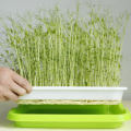 เมล็ดพันธุ์ Skyplant ถาดเพาะเลี้ยง Sprouter Tray สำหรับกระถางปลูกพืชที่ปราศจากดิน