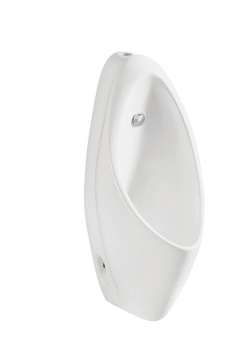 kohler wall hung mount urinal installation rough in