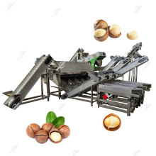Automatic Macadamia and Cashew Nut Processing Equipment: Opening, Peeling, Shelling, and Cracking Machine