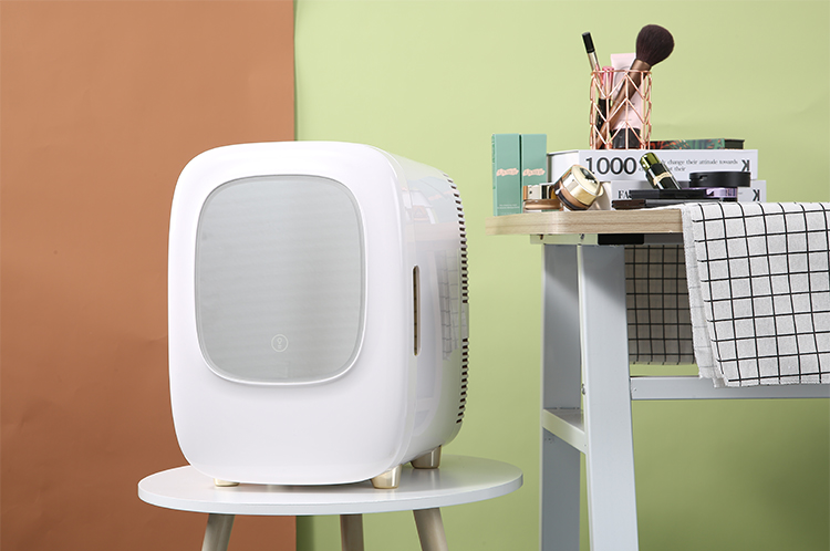 Cosmetic Fridge With Mirror 11