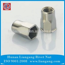 Fastener Small Head Inside & Outside Hexagon Blind Rivet Nut