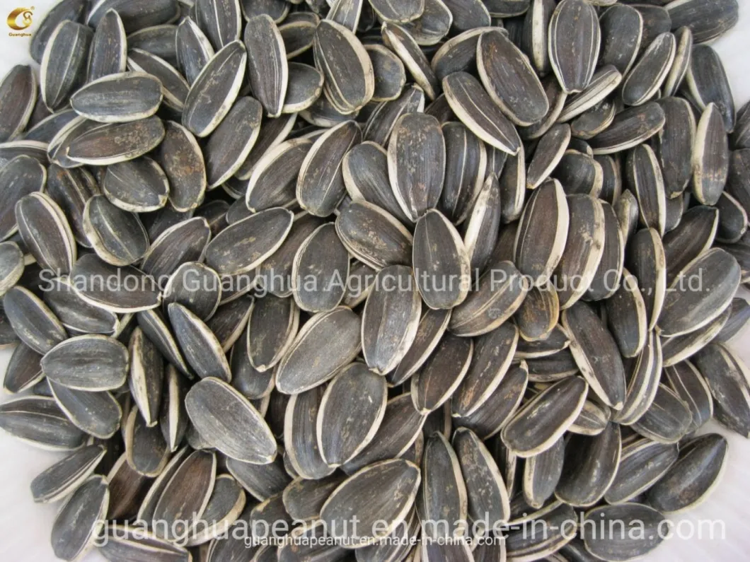 Hot Sale Flavored Roasted and Spiced Sunflower Seeds