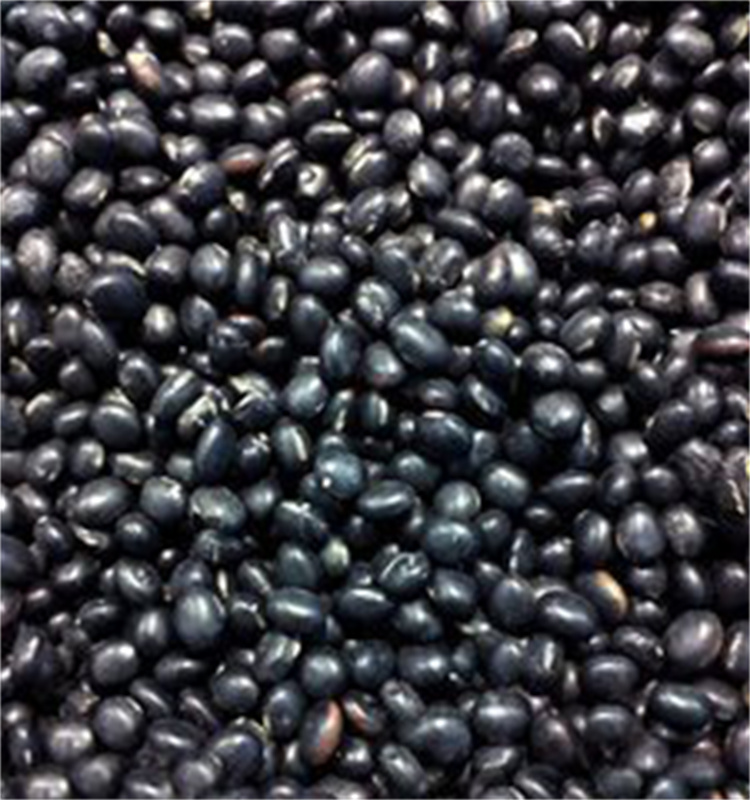 Multi-function hydroponic growing systems greenhouse