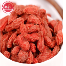 Superfood anti-âge Protéger les baies de goji de la vue