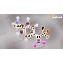 طريقة لتجميع p-trifluoromethoxy-aniline