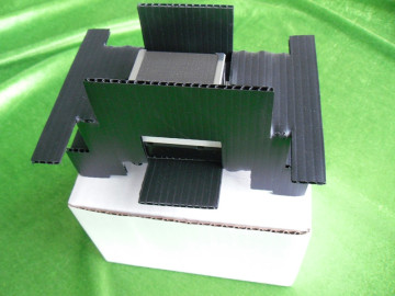 F152000 Original Print Head For Epson R800 Printer