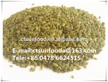 Chinese pumpkin seed without shell, market price with good quality