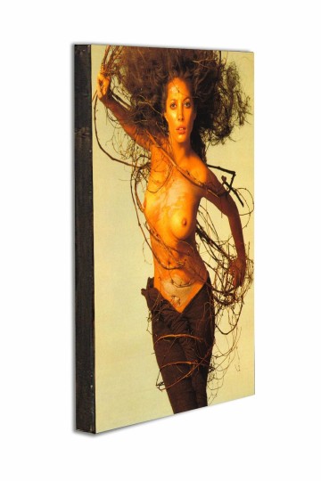 Abstract painting nude wood craft with hook