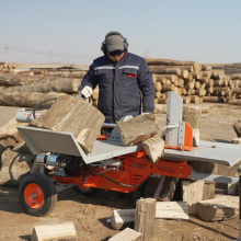 CE Certified Firewood Processor and Wood Splitter