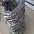 hot dipped galvanized barbed wire military