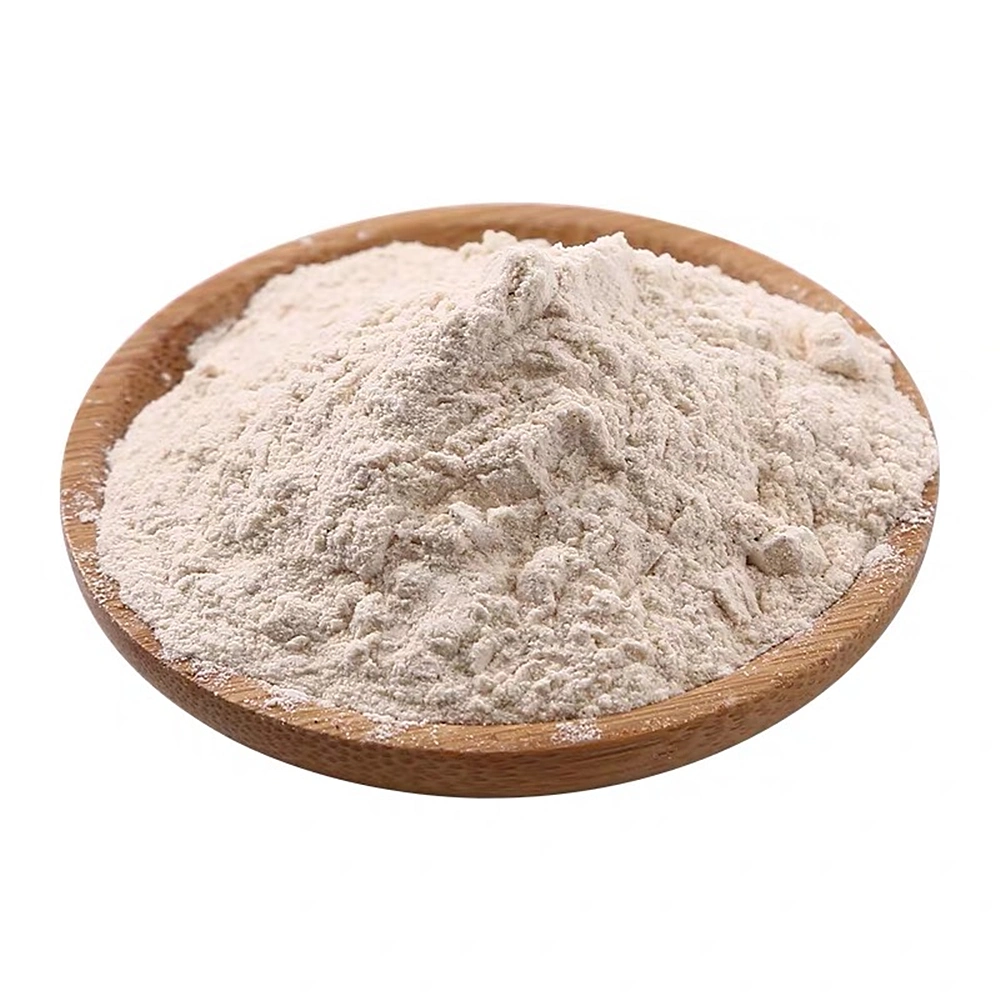 Dehydrated White Onion Powder for Free Sample