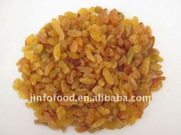 Golden Raisin & Sultana Raisin & Green Raisin & Red Raisin & Mare's Milk Raisin