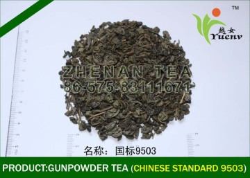 special gunpowder tea 1111 quality for afghanistan