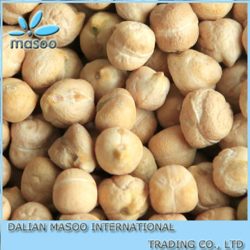 9 mm kabuli in Xinjiang chickpeas