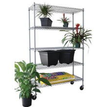 Green House Display Rack