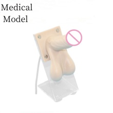 PVC Medical Practice Model for Maternal and Child Health and Male Condom Training