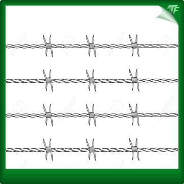 Galvanized straight line razor wire