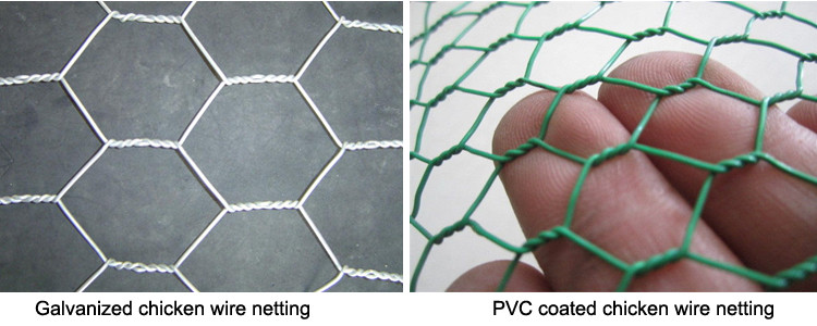 pvc coated wire mesh