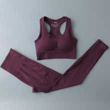 Women Yoga Set Workout Sportswear Gym Clothing