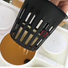 MINI Complete Hydroponic Equipment الهولندية Bucket