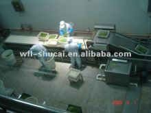 Frozen Vegetable Production Line