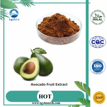 Bio -gefrier getrocknete Avocado -Obst -Extraktpulver