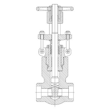 Vanne en acier forgé (pression joint Bonnet)