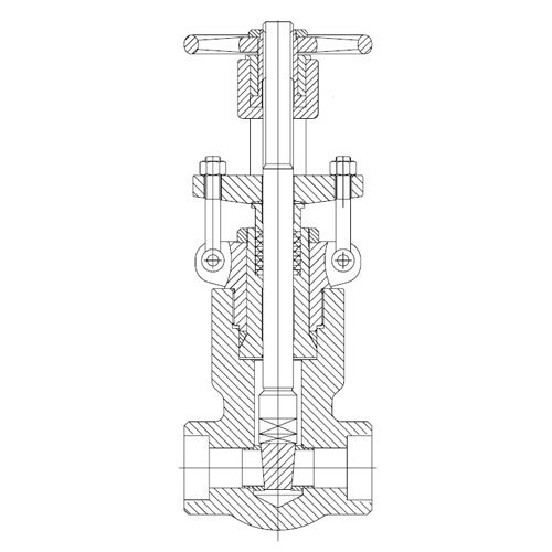 Vanne en acier forgé (pression joint Bonnet)