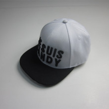 3D brodyr och rand Print Hip Hop Cap