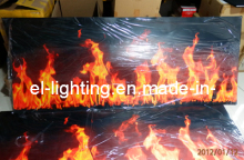 EL Display (EL Aniamted Panel)