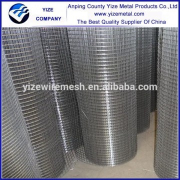 China manufacture excellent welded mesh/1x1 welded wire mesh