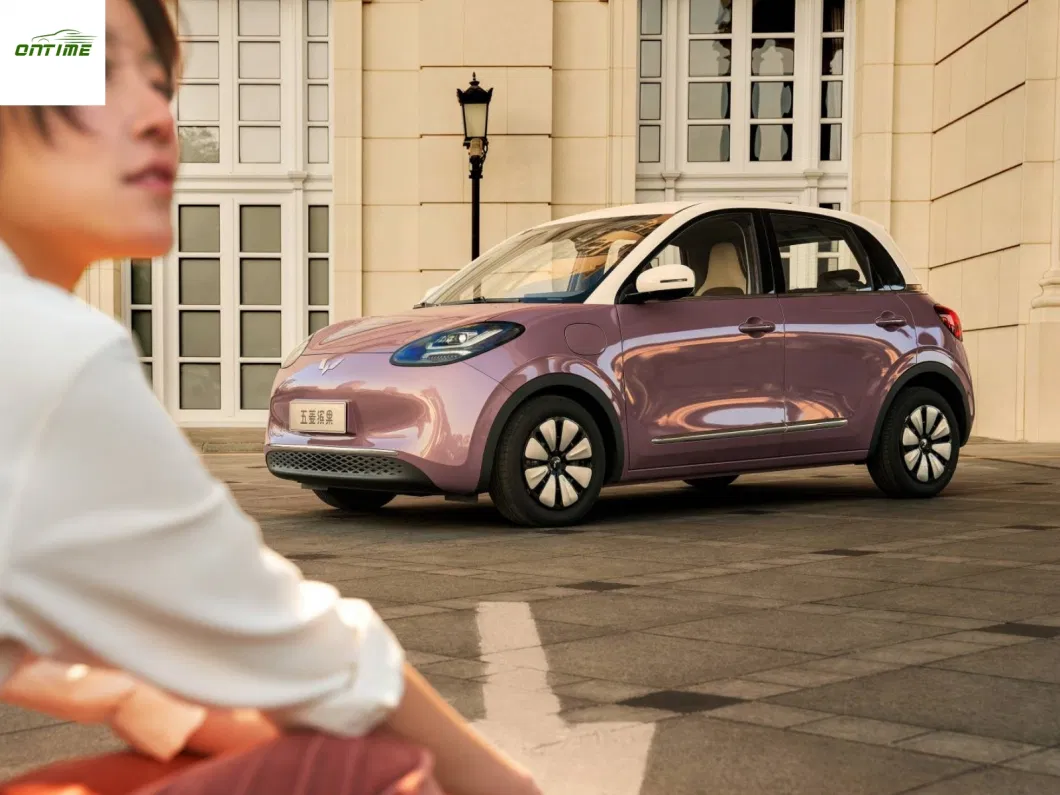 The New Energy Four-Wheel Electric Vehicle Series Has a Range of 333km and The Bingo Electric Vehicle Is Equipped with High-Quality and Durable Batteries