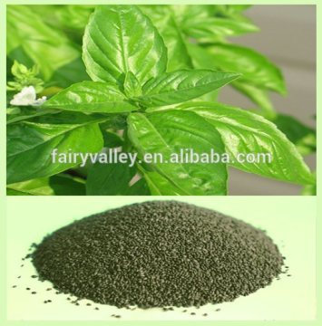 Gardening Flower Seeds Basil Seed For Cultivating
