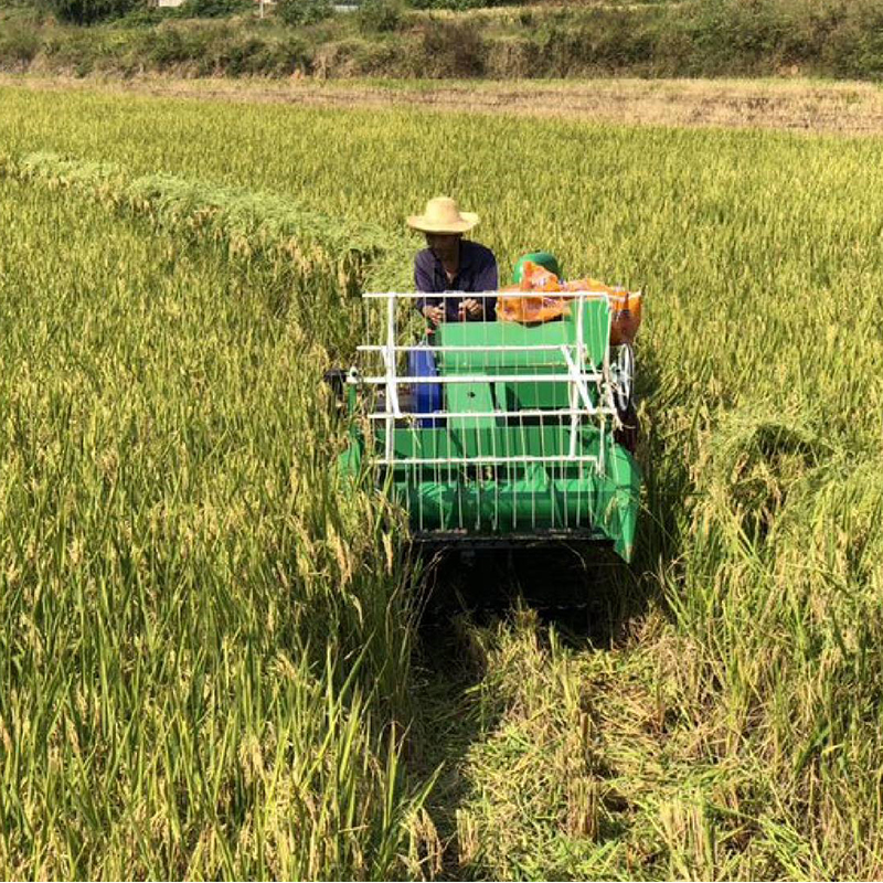 Mini máquina de la cosecha de arroz de la cosechadora para la venta