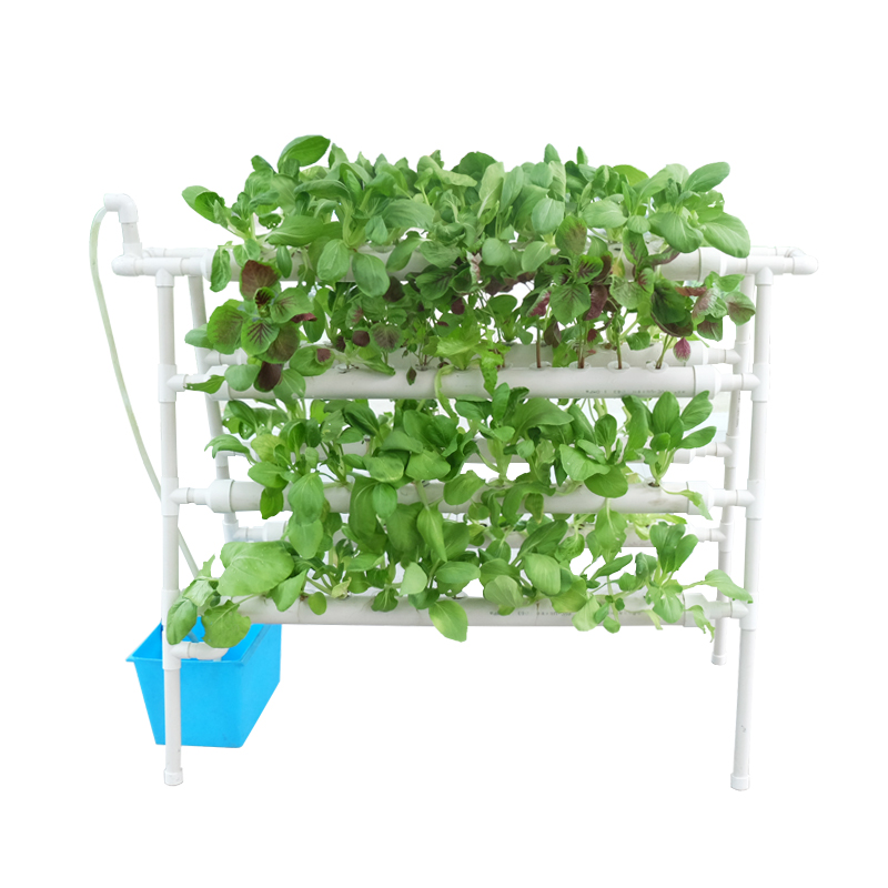 Skyplant Hydroponic System to Growing in Greenhouse