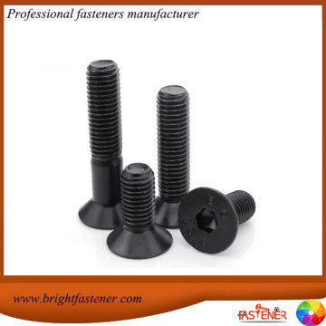 Hexagon Socket Countersunk Head Screws