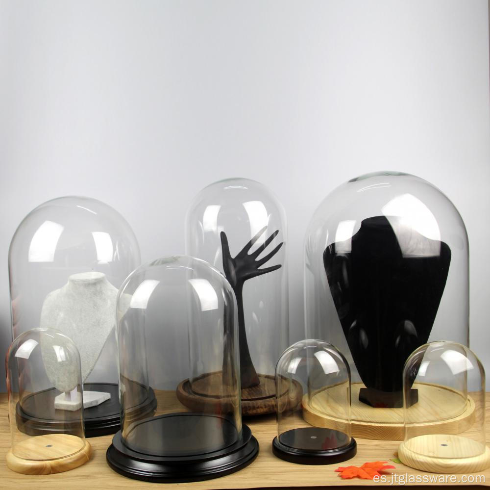 Cúpula de vidrio con base de pino para exhibición