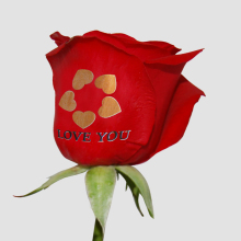 Speaking Red Rose Printer