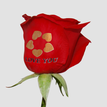 Speaking Red Rose Printer